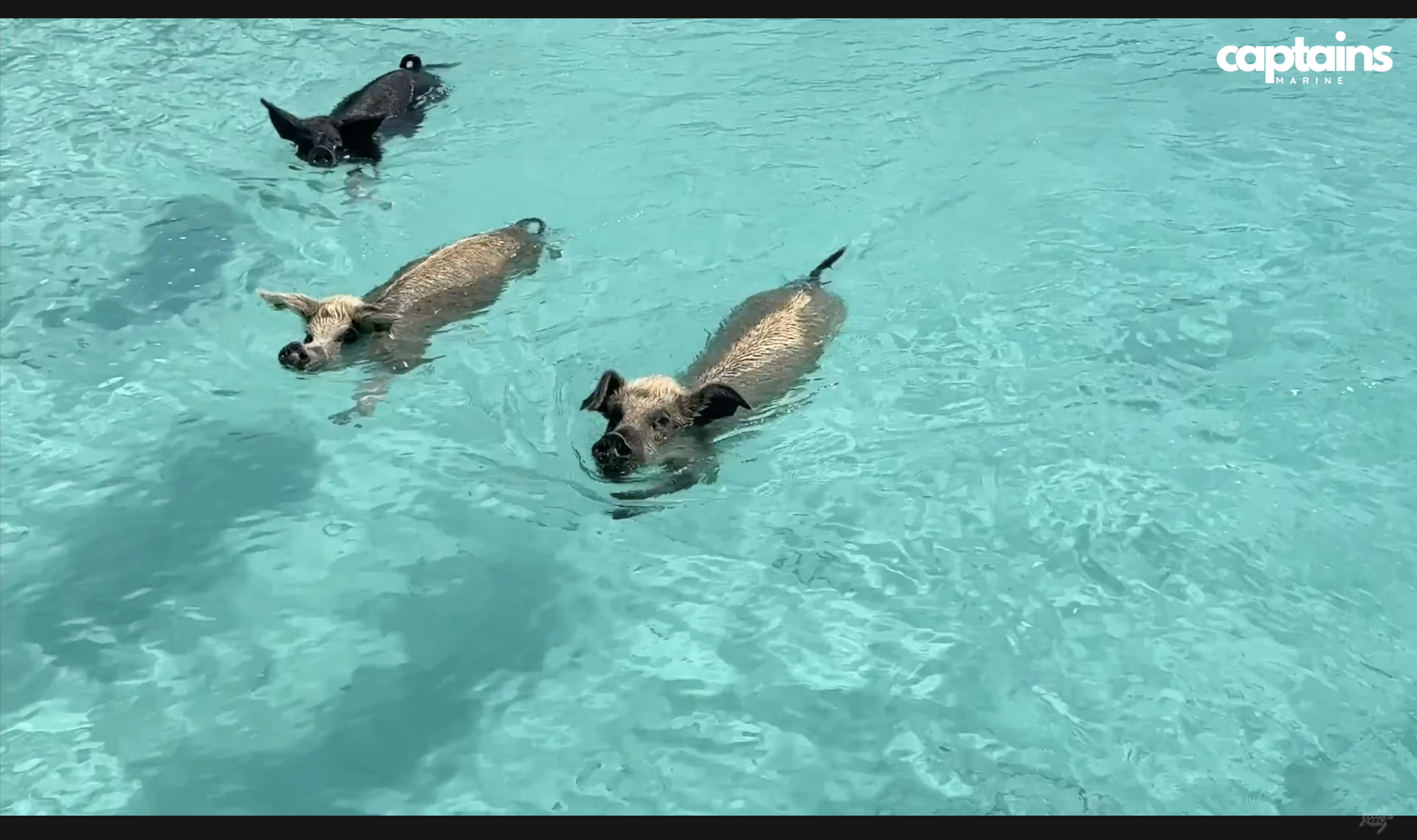 Bahamas island hopping private charter