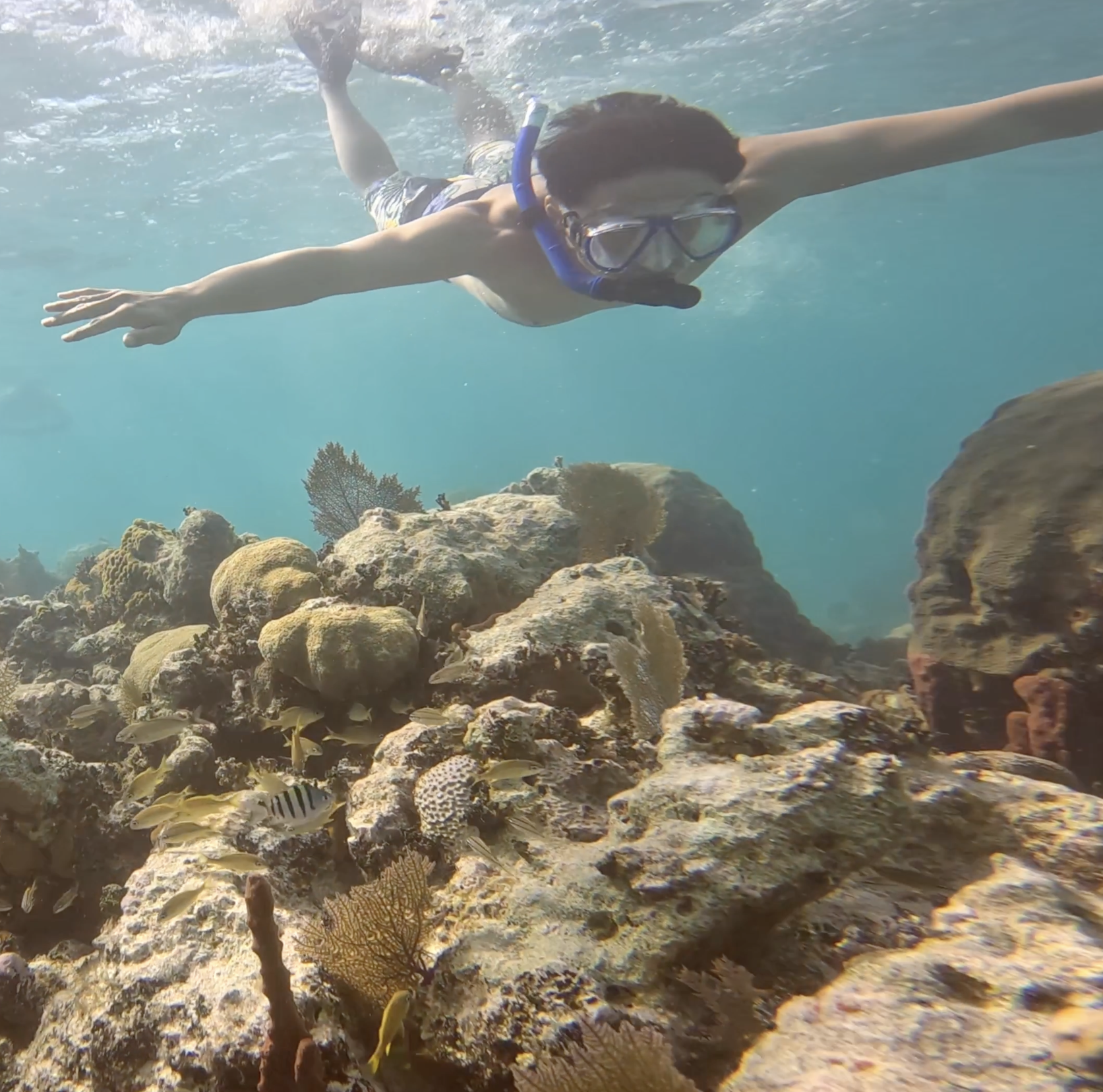 snorkelling yacht charter